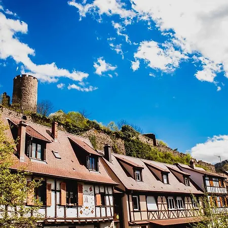 L'atelier - Grande Maison Avec Garage * קייסרסברג